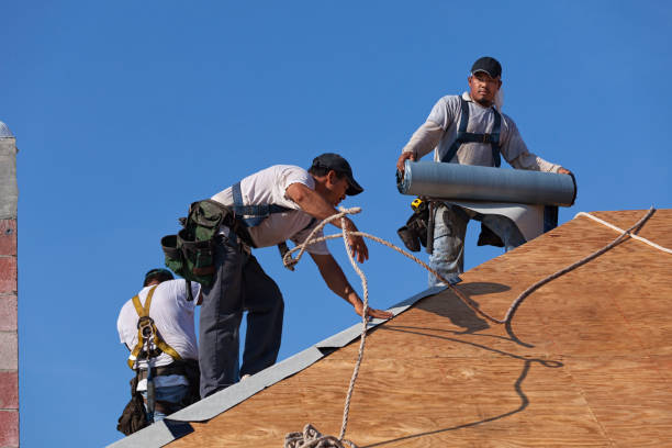 Best Gutter Installation and Roofing  in Vero Lake Estates, FL