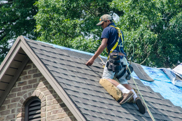 Quick and Trustworthy Emergency Roof Repair Services in Vero Lake Estates, FL